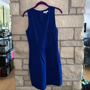 Madewell Skater Dress